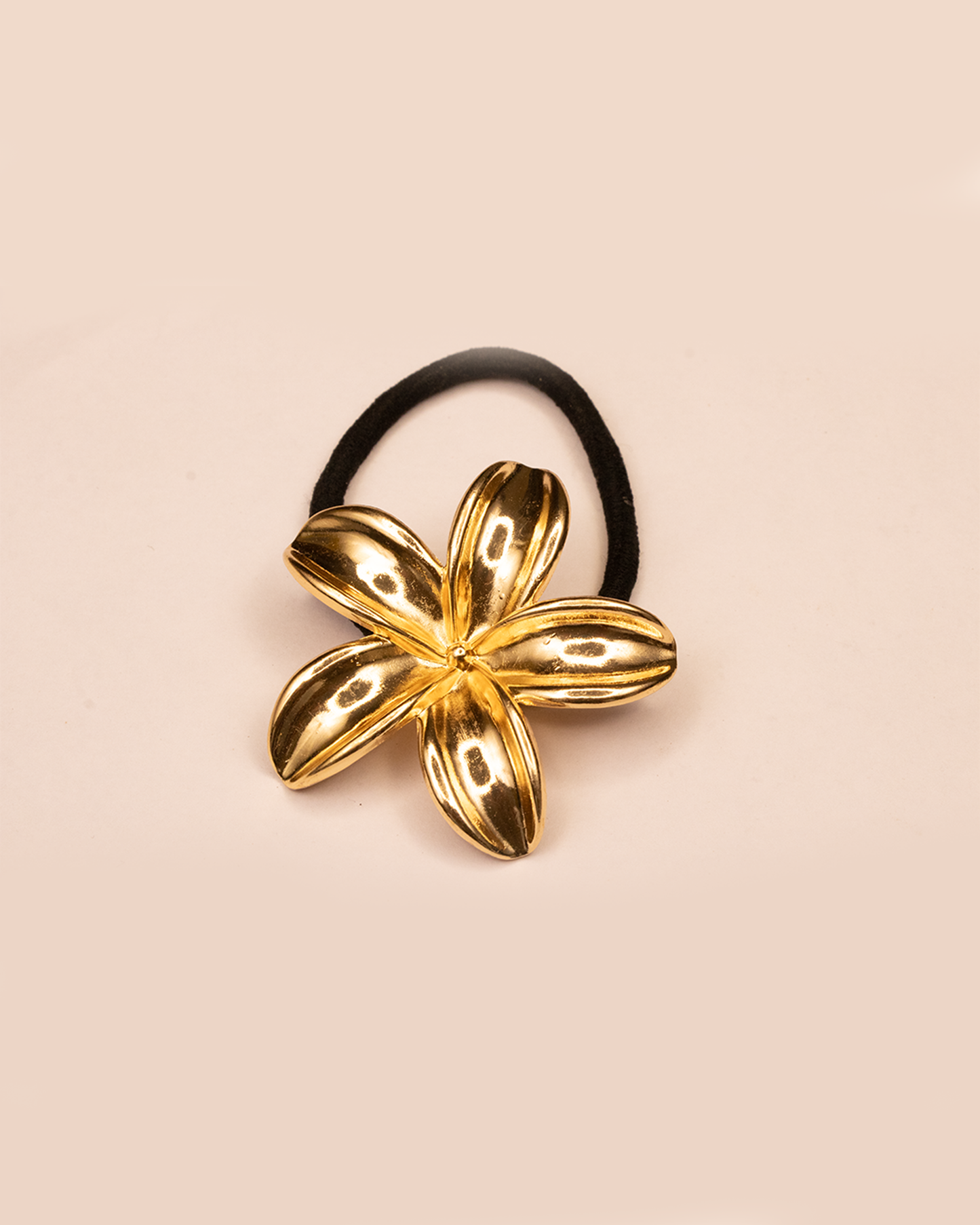 Anti Tarnish Pinteresty Hair Ties for Women